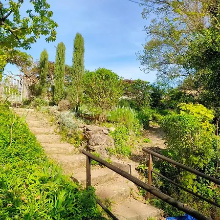 La Clairiere