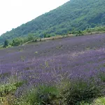 La Clairiere