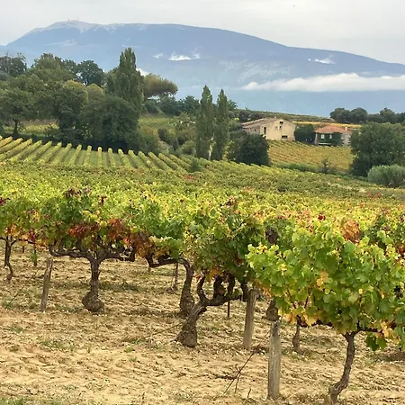 La Clairiere Holiday home *