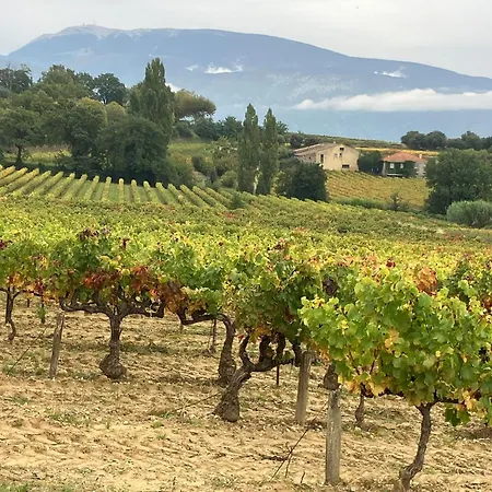 La Clairiere Holiday home *