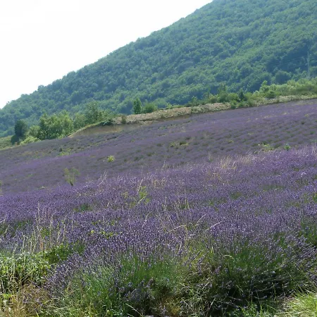 La Clairiere